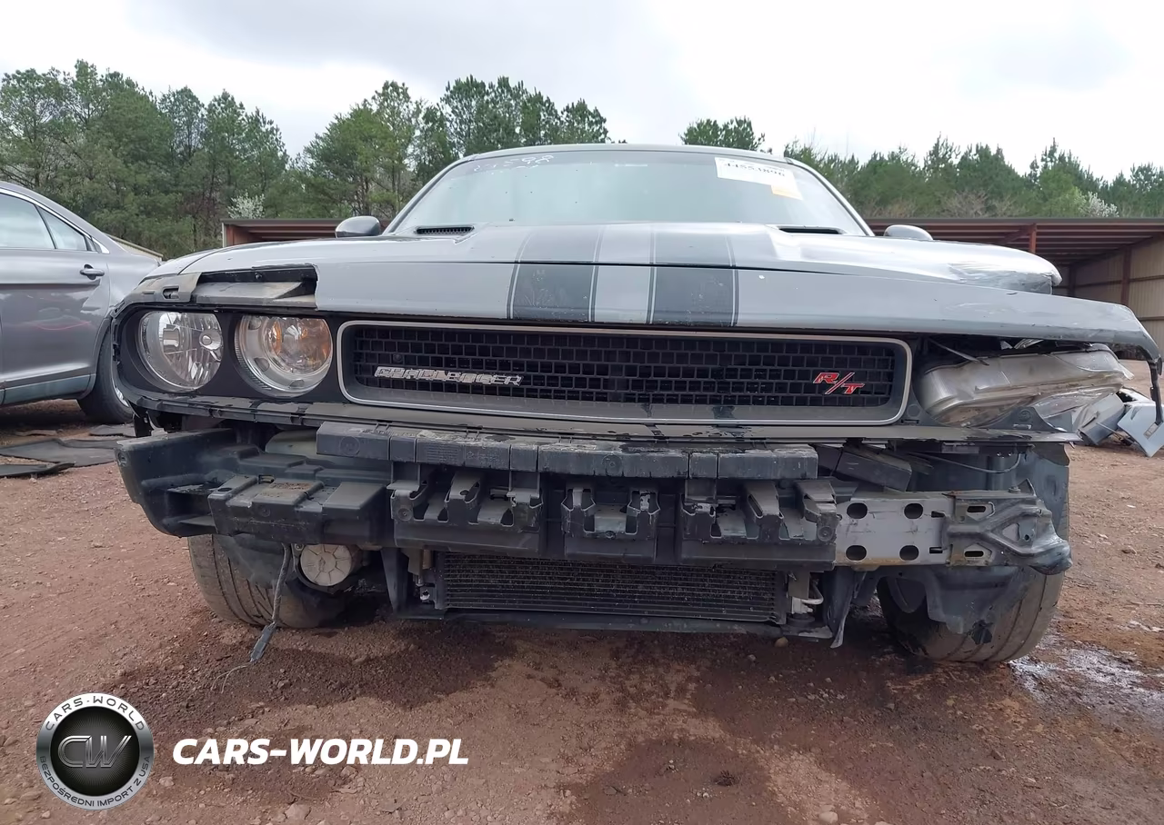 2011 Dodge Challenger R-T VIN:2B3CJ5DT3BH541653 - 6