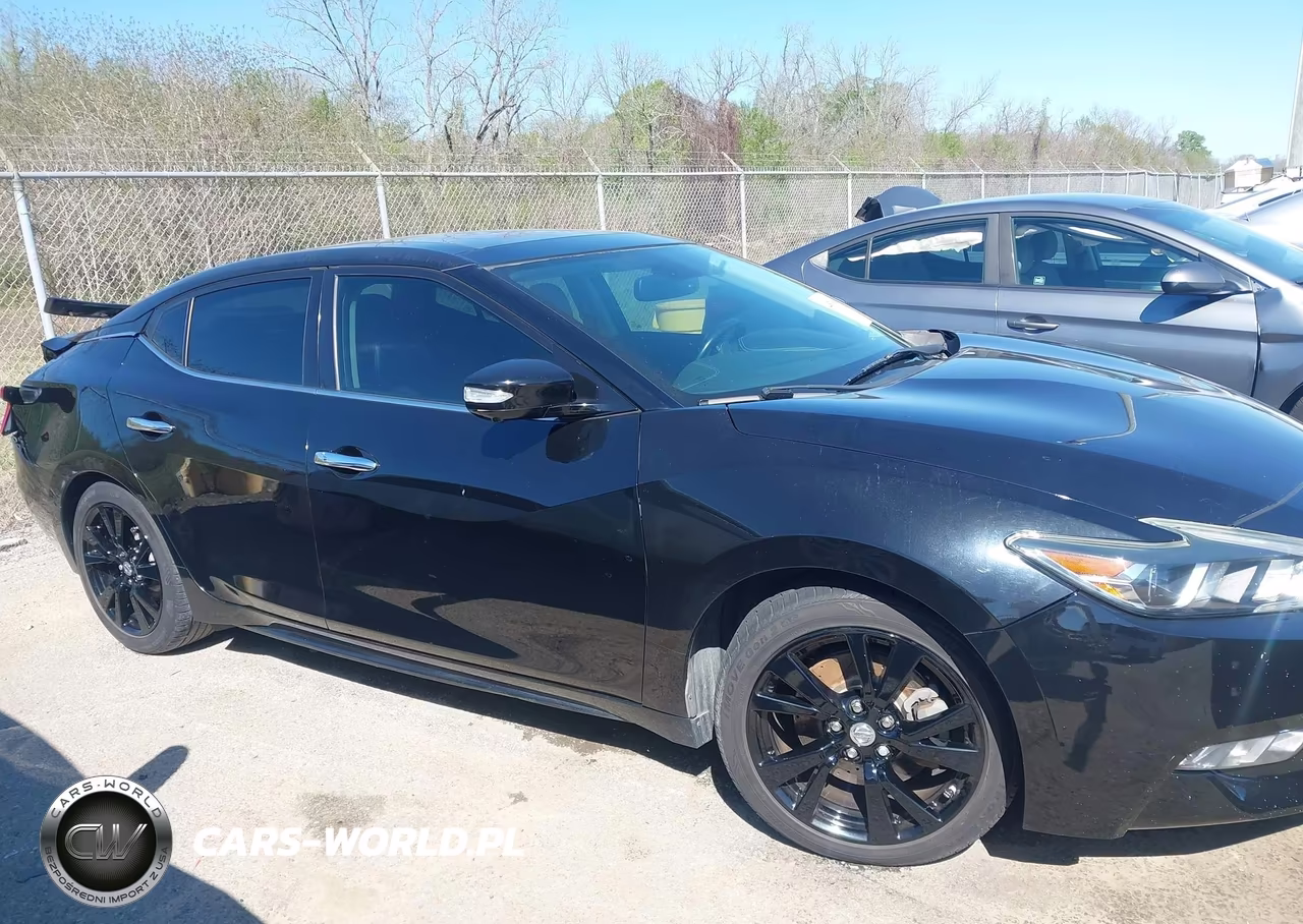 2016 Nissan Maxima 3.5 Platinum VIN:1N4AA6AP2GC375788 - 13