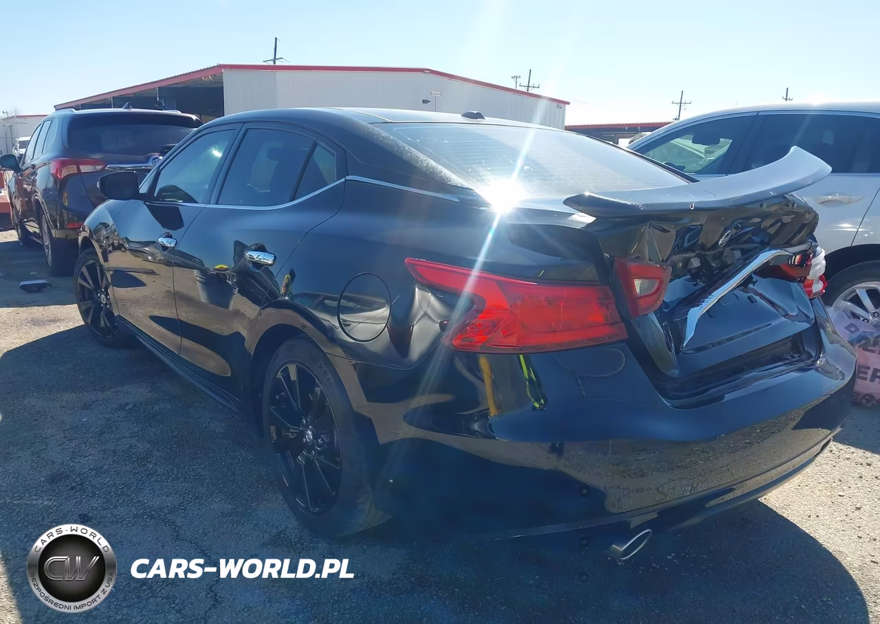 2016 Nissan Maxima 3.5 Platinum VIN:1N4AA6AP2GC375788 - 3