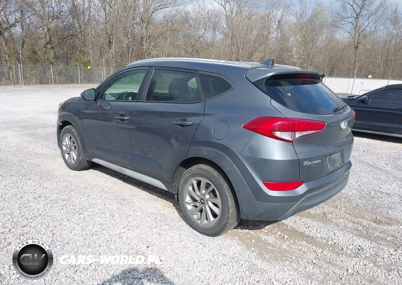 2018 Hyundai Tucson Sel VIN:KM8J3CA46JU668616 - 3