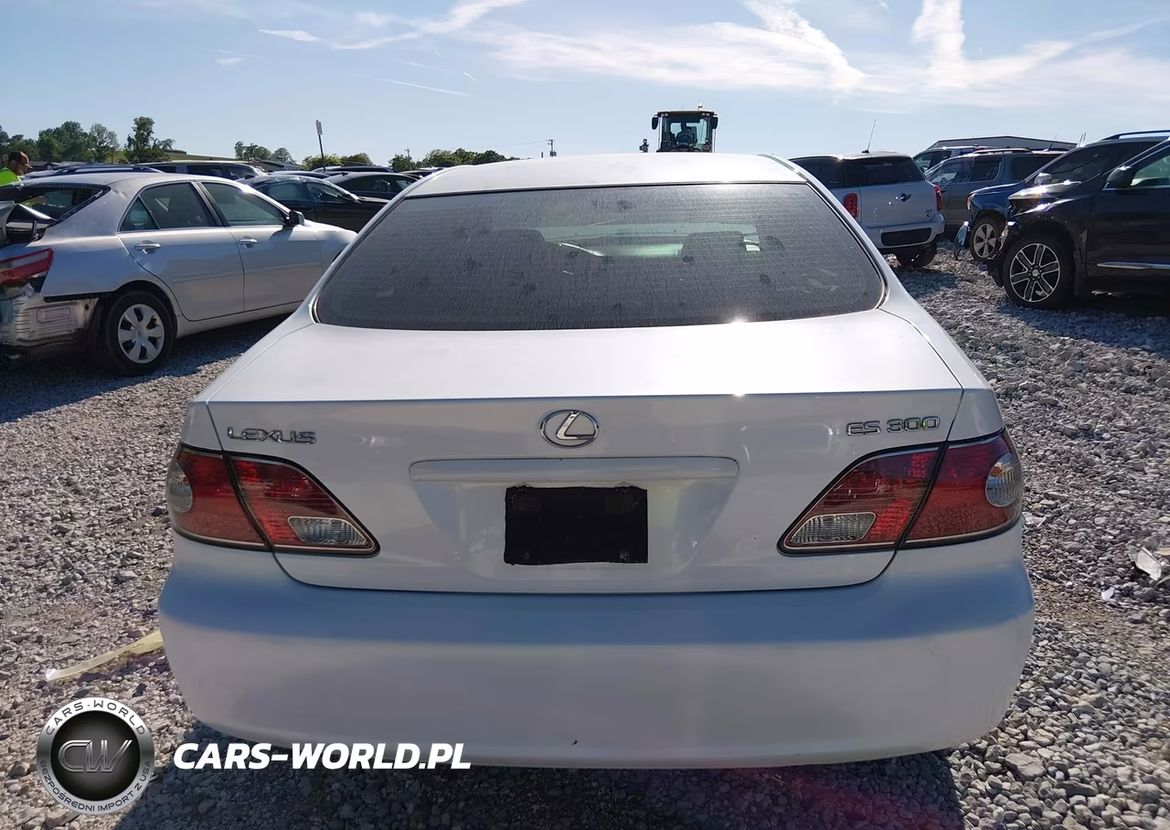 2002 Lexus Es 300 VIN:JTHBF30G620010796 - 17