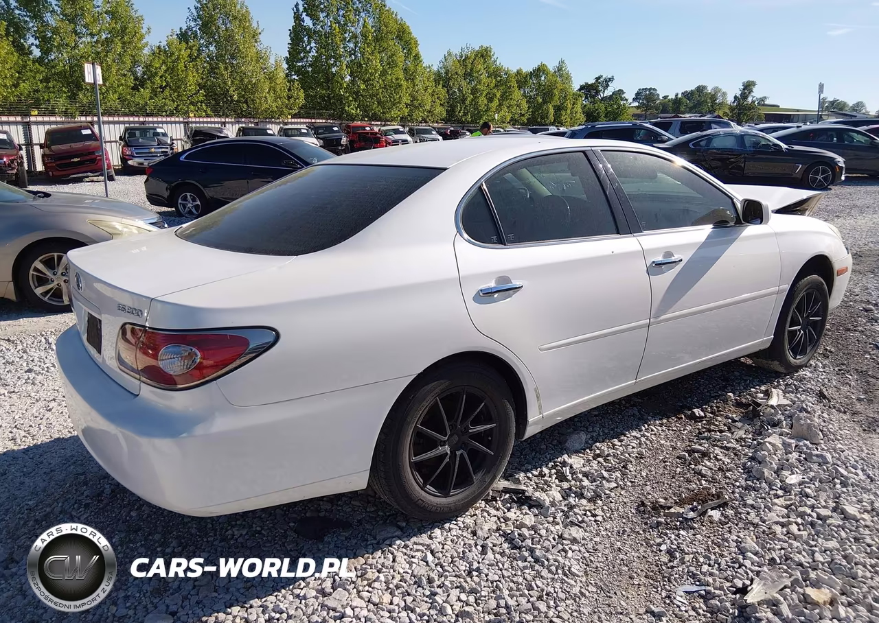 2002 Lexus Es 300 VIN:JTHBF30G620010796 - 4