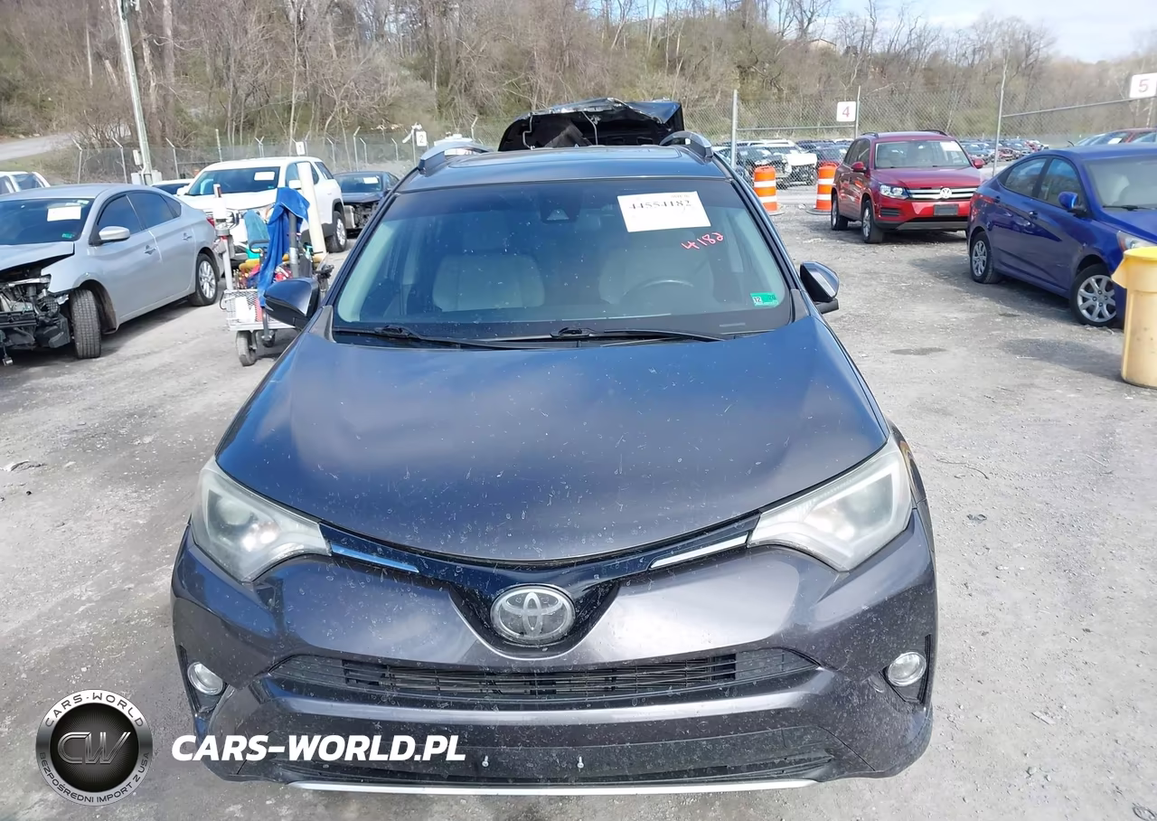 2016 Toyota Rav4 Xle VIN:2T3RFREV9GW474548 - 12