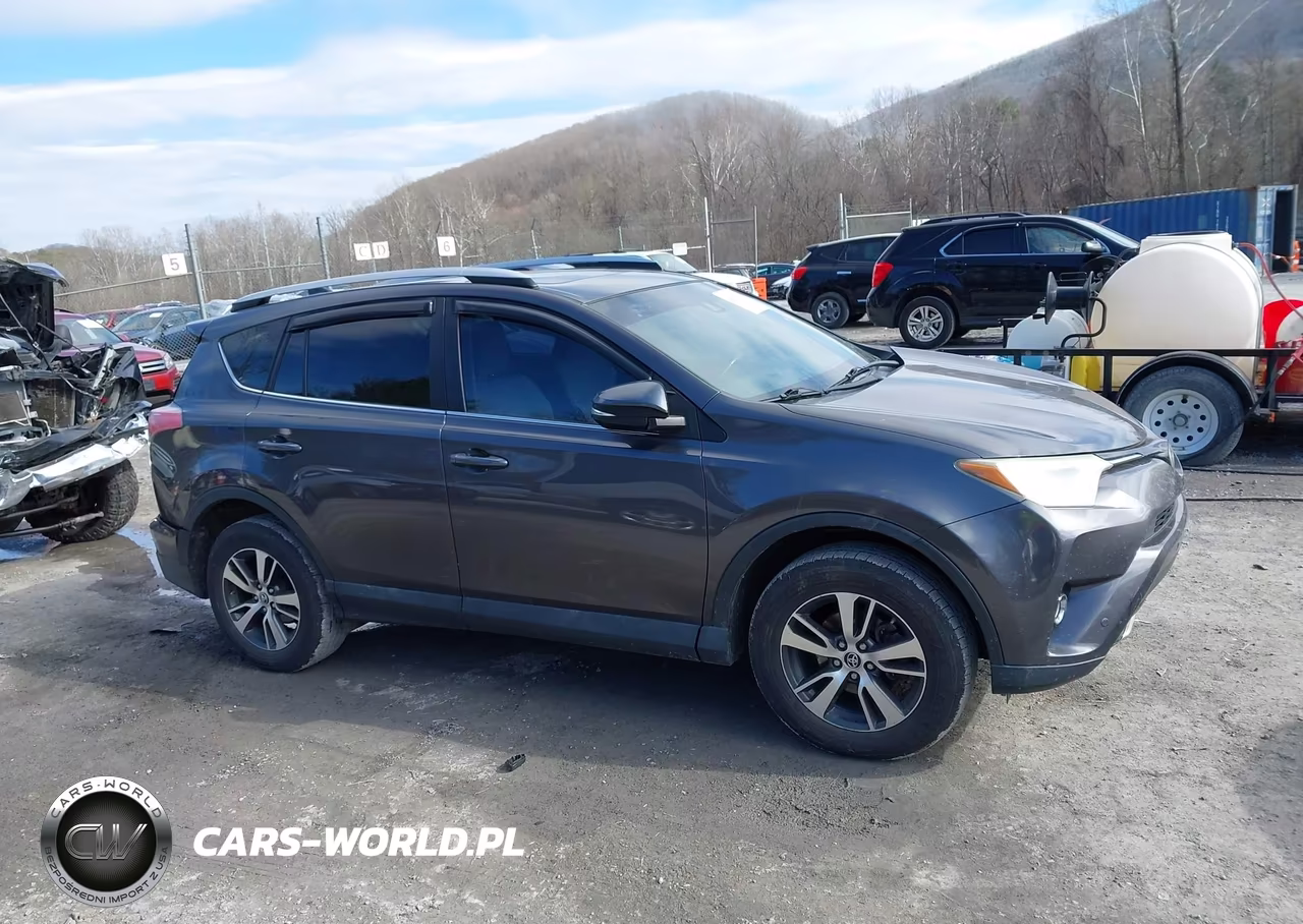2016 Toyota Rav4 Xle VIN:2T3RFREV9GW474548 - 13
