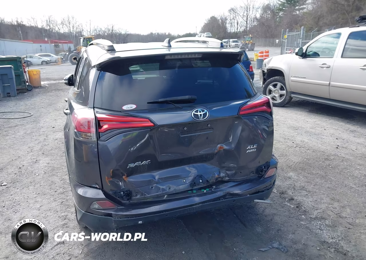 2016 Toyota Rav4 Xle VIN:2T3RFREV9GW474548 - 16