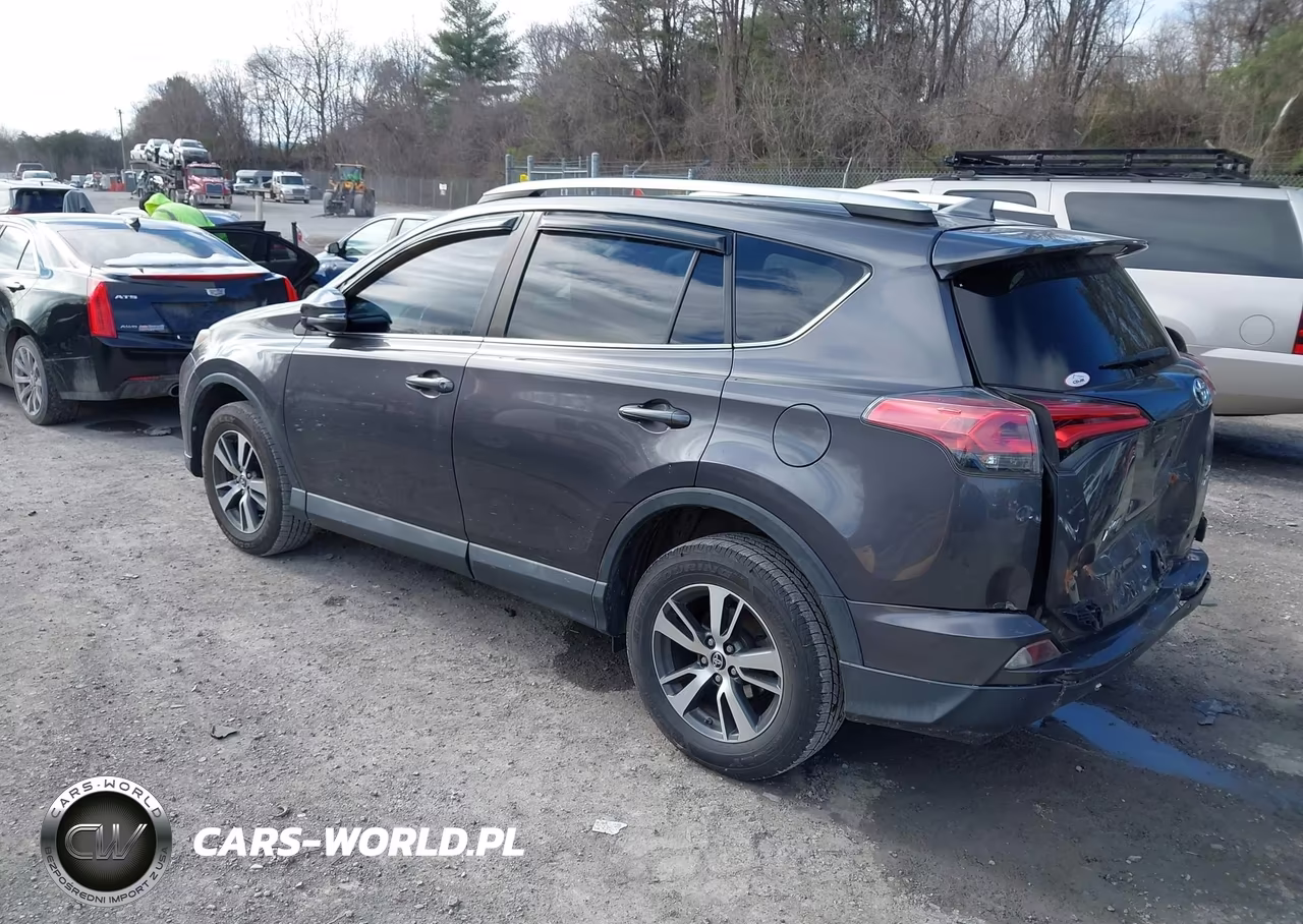 2016 Toyota Rav4 Xle VIN:2T3RFREV9GW474548 - 3