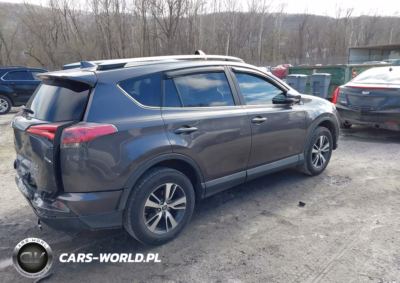 2016 Toyota Rav4 Xle VIN:2T3RFREV9GW474548 - 4