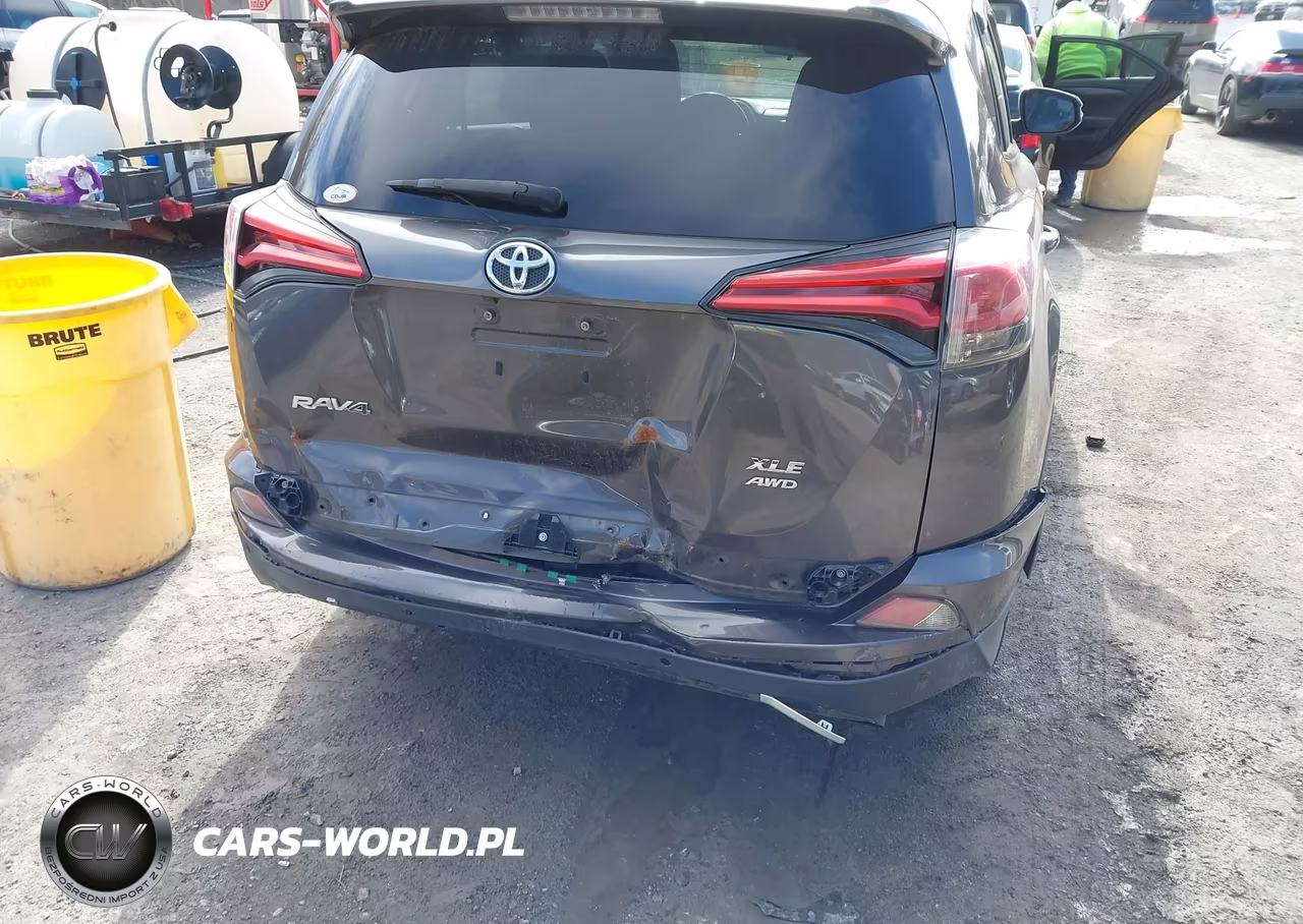2016 Toyota Rav4 Xle VIN:2T3RFREV9GW474548 - 6