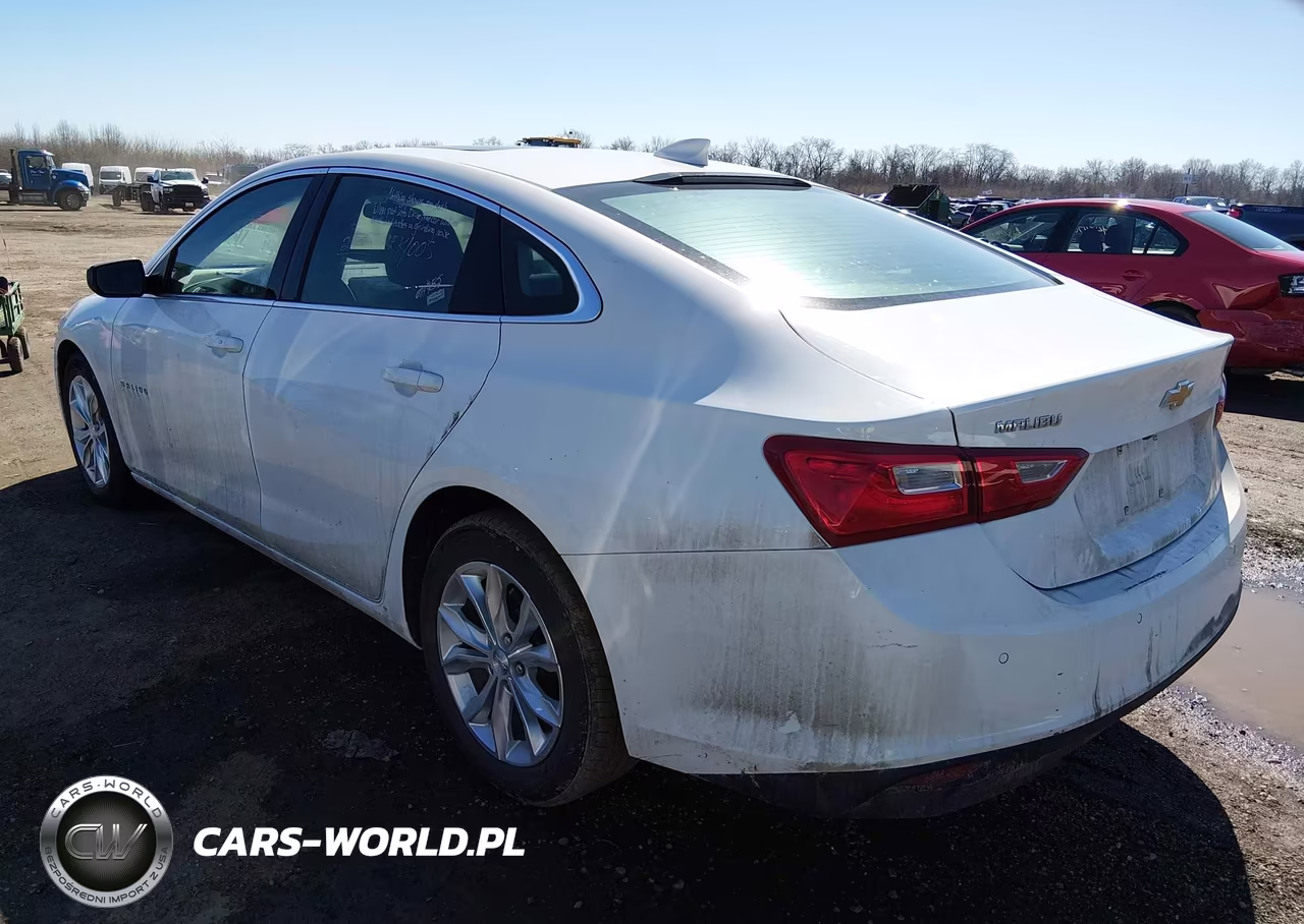 2024 Chevrolet Malibu Fwd 1Lt VIN:1G1ZD5ST6RF141948 - 3