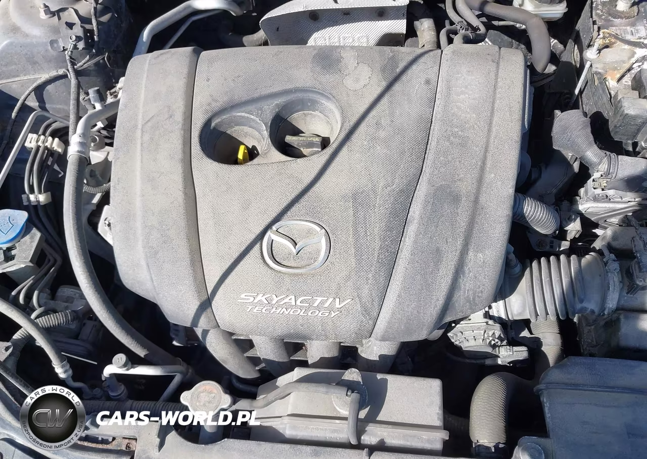 2016 Mazda Mazda3 I Sport VIN:JM1BM1U78G1306488 - 10