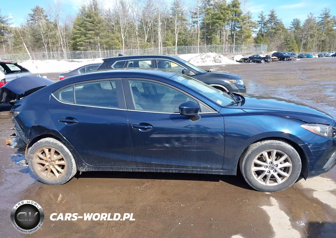 2016 Mazda Mazda3 I Sport VIN:JM1BM1U78G1306488 - 13