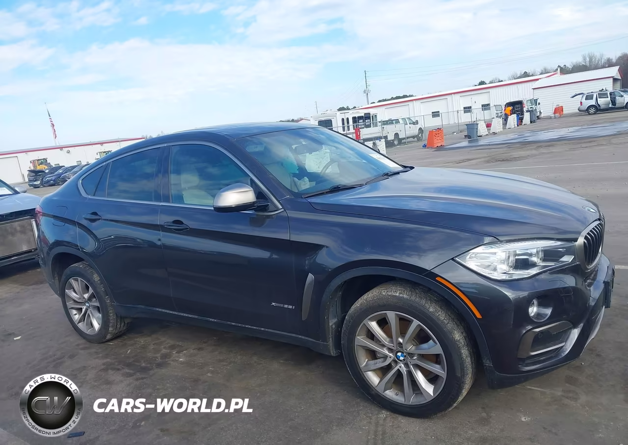 2017 BMW X6 xDrive35I VIN:5UXKU2C56H0N85189 - 13