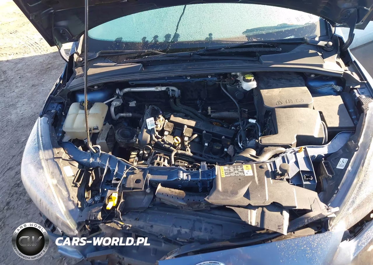 2018 Ford Focus Sel VIN:1FADP3H29JL298185 - 10