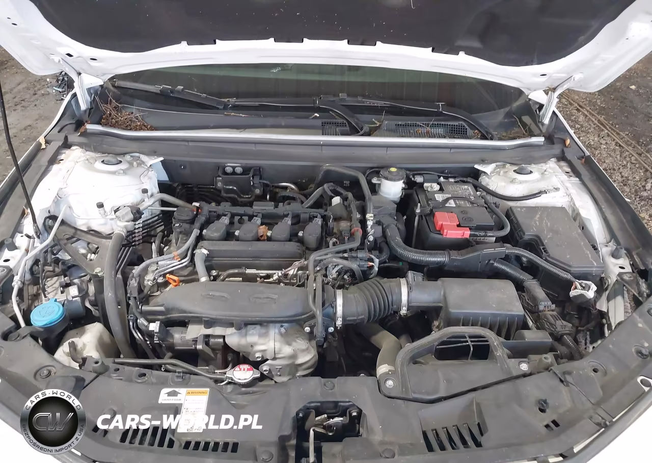 2023 Honda Accord Ex VIN:1HGCY1F31PA041613 - 10