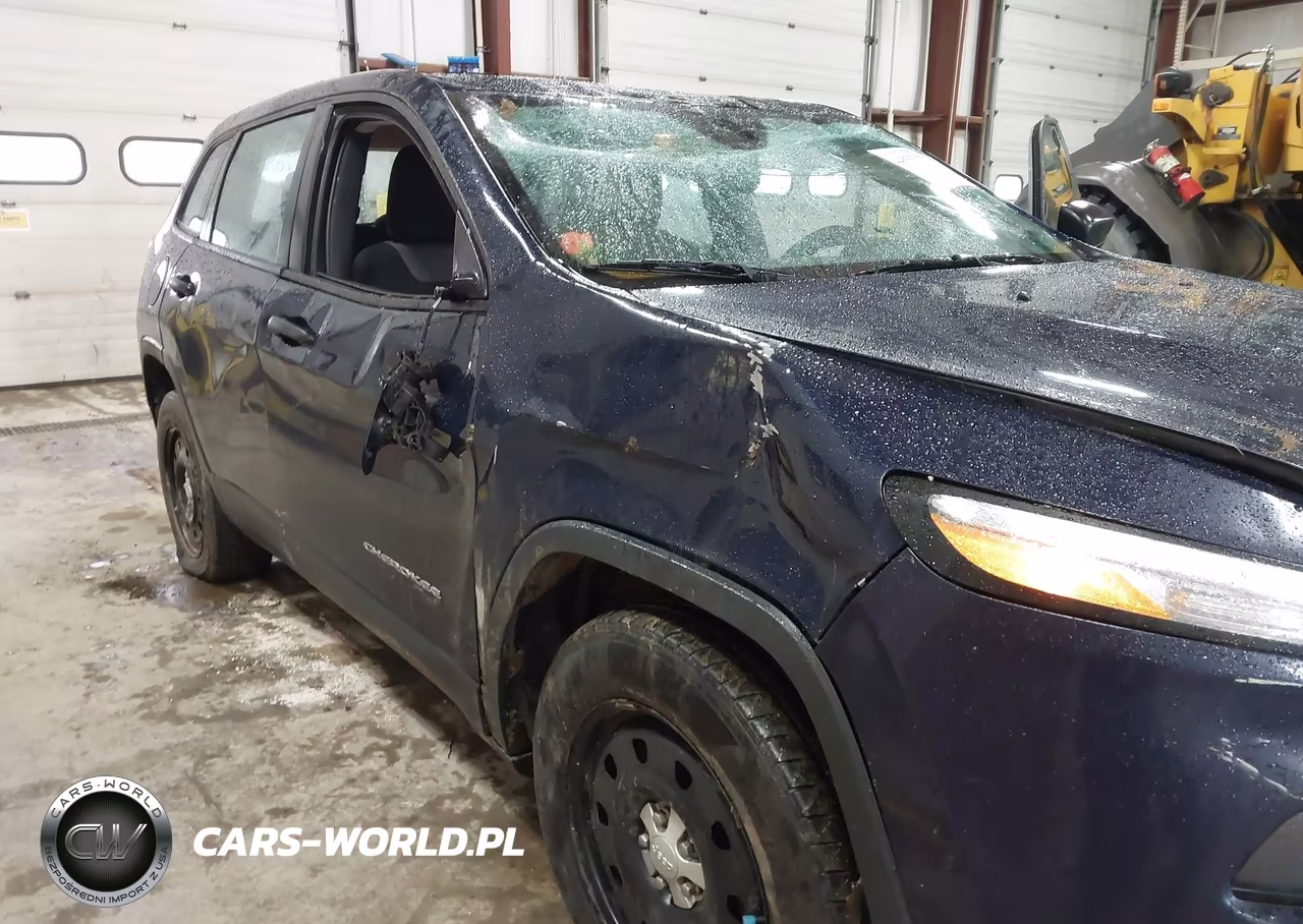 2014 Jeep Cherokee Sport VIN:1C4PJMAB3EW115893 - 6