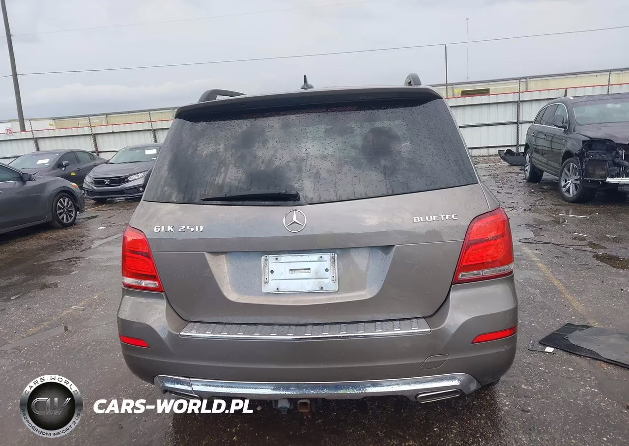2013 Mercedes-Benz Glk 250 Bluetec 4Matic VIN:WDCGG0EB2DG142877 - 16
