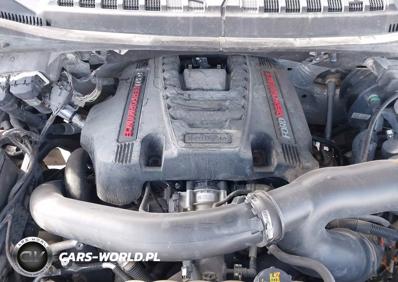 2019 Ford F-150 Raptor VIN:1FTFW1RG1KFD15436 - 10