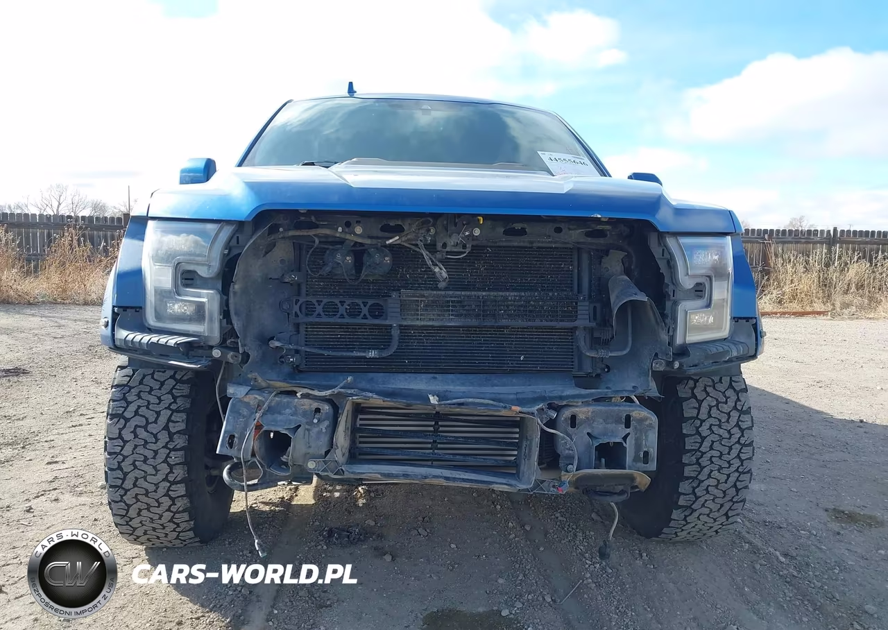 2019 Ford F-150 Raptor VIN:1FTFW1RG1KFD15436 - 13
