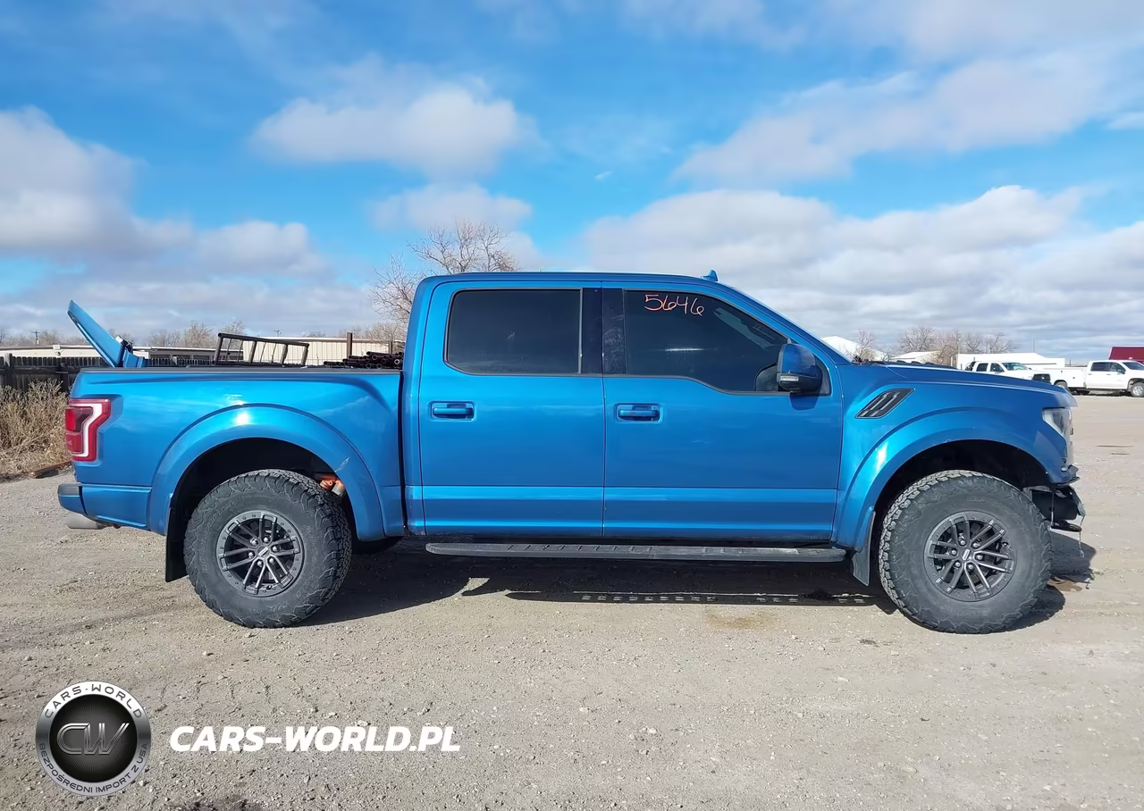 2019 Ford F-150 Raptor VIN:1FTFW1RG1KFD15436 - 14