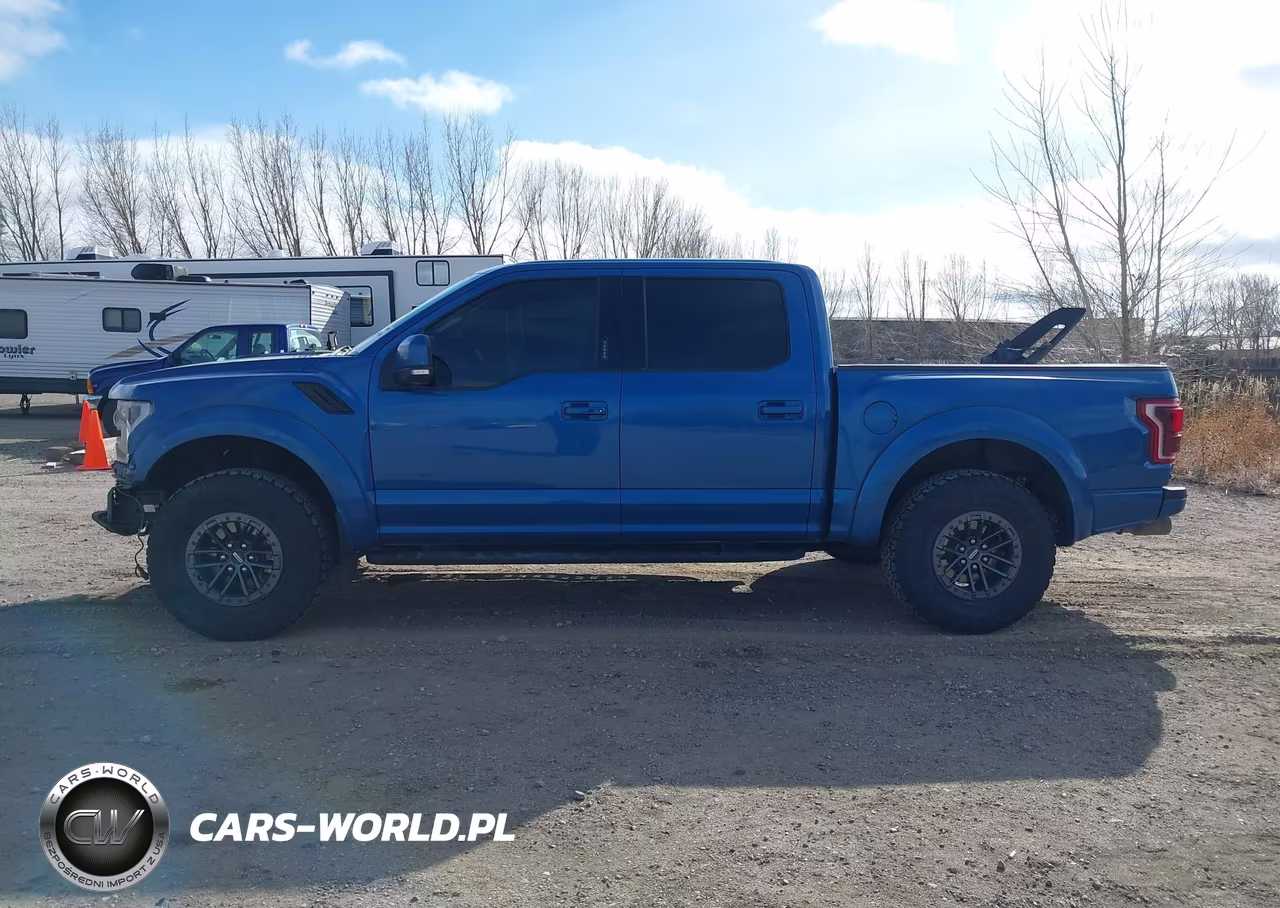 2019 Ford F-150 Raptor VIN:1FTFW1RG1KFD15436 - 15