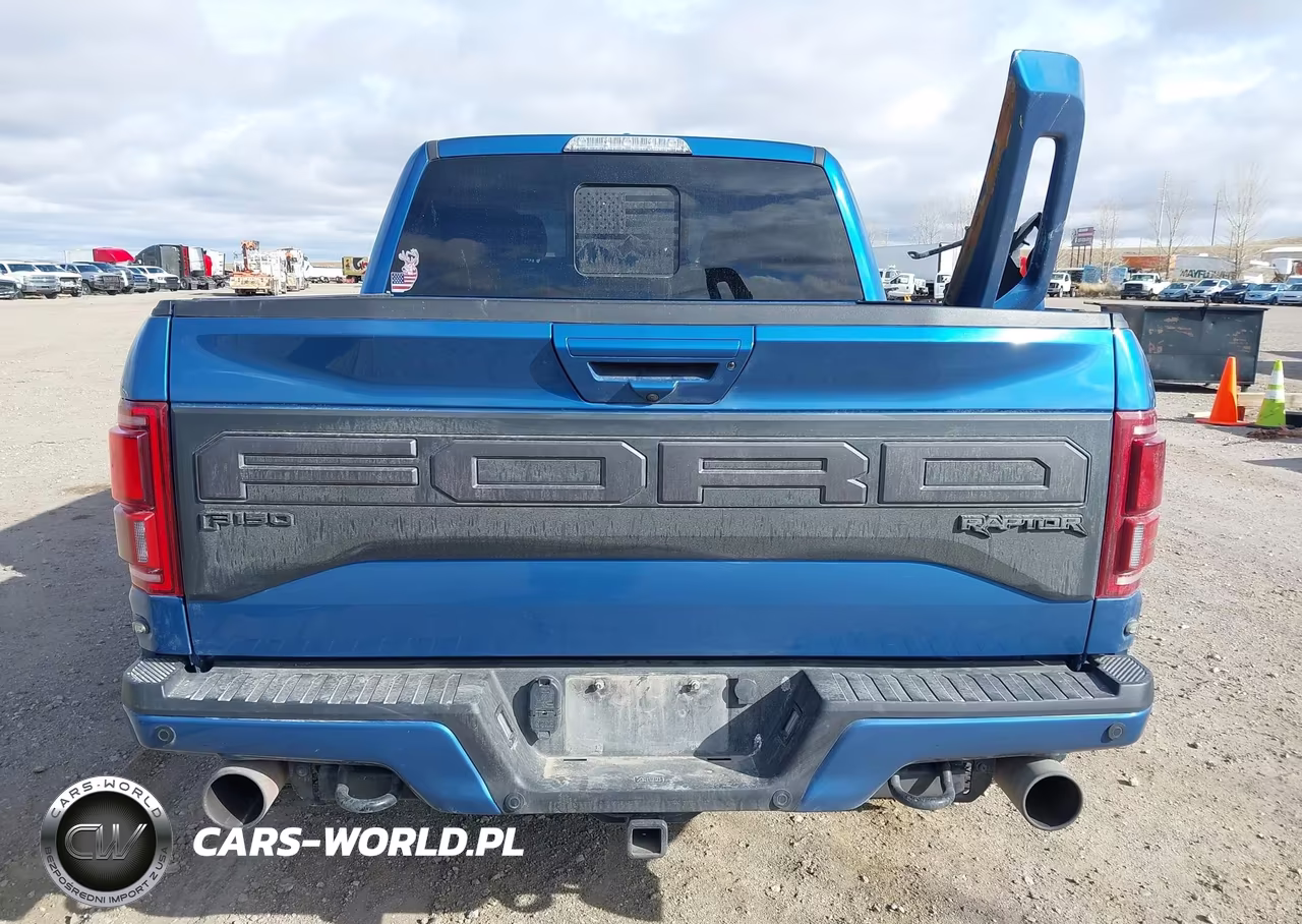 2019 Ford F-150 Raptor VIN:1FTFW1RG1KFD15436 - 17