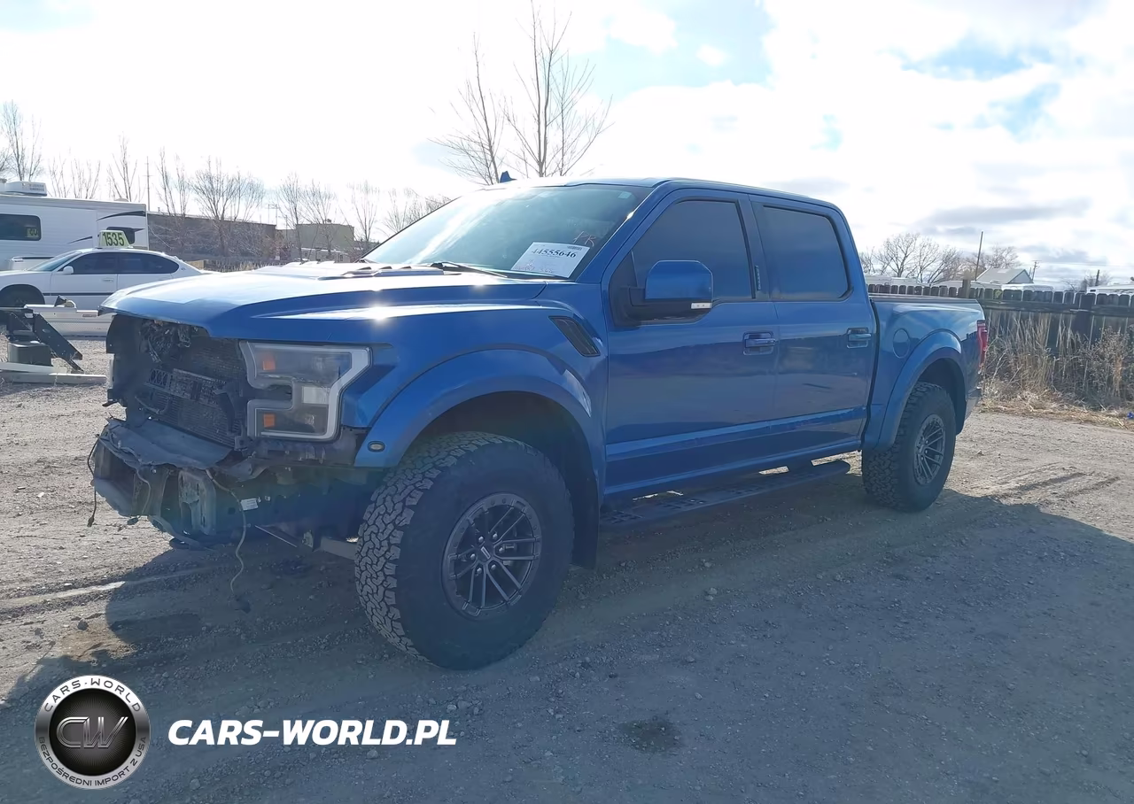 2019 Ford F-150 Raptor VIN:1FTFW1RG1KFD15436 - 2