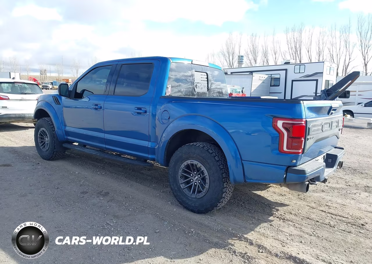 2019 Ford F-150 Raptor VIN:1FTFW1RG1KFD15436 - 3