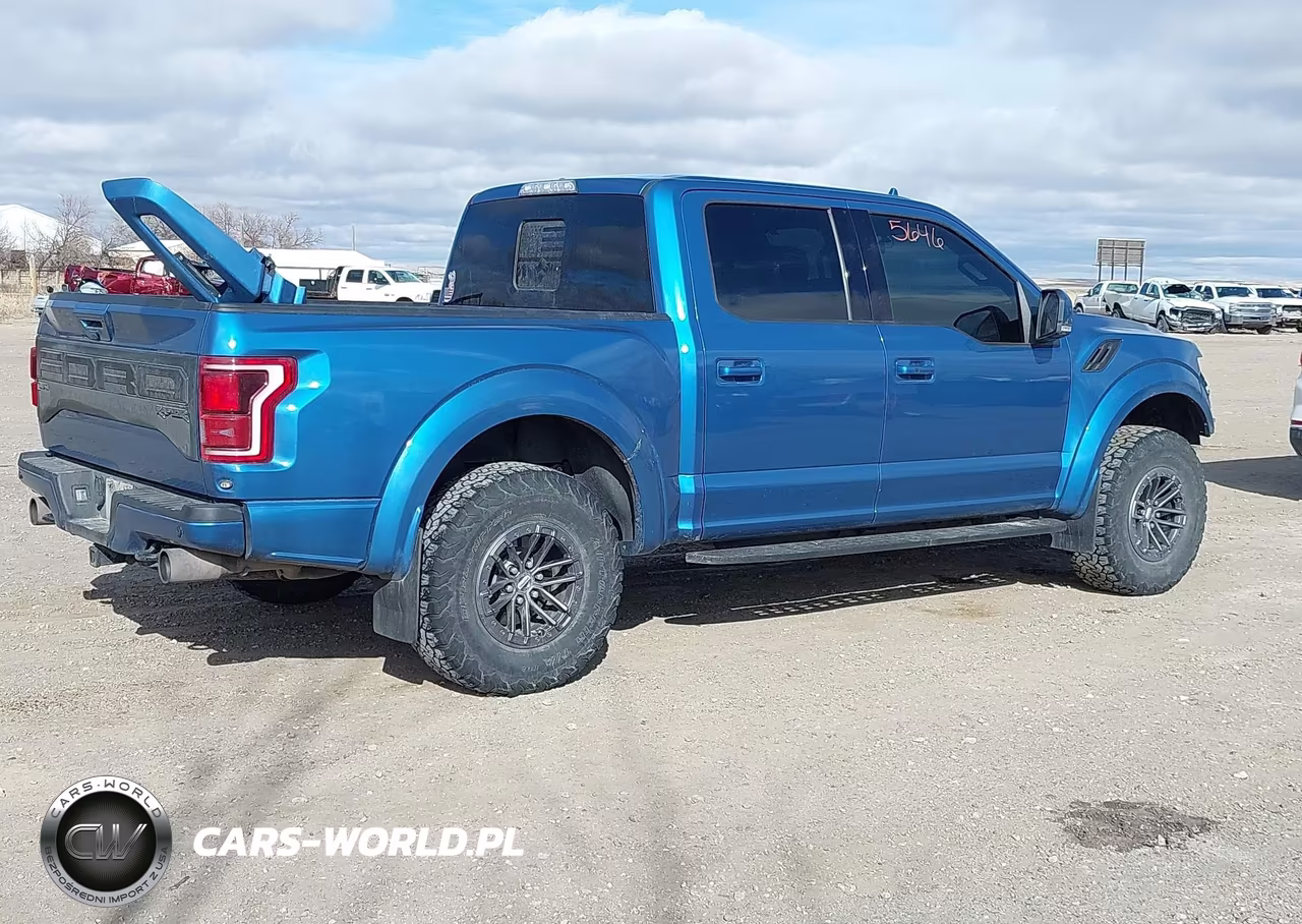 2019 Ford F-150 Raptor VIN:1FTFW1RG1KFD15436 - 4