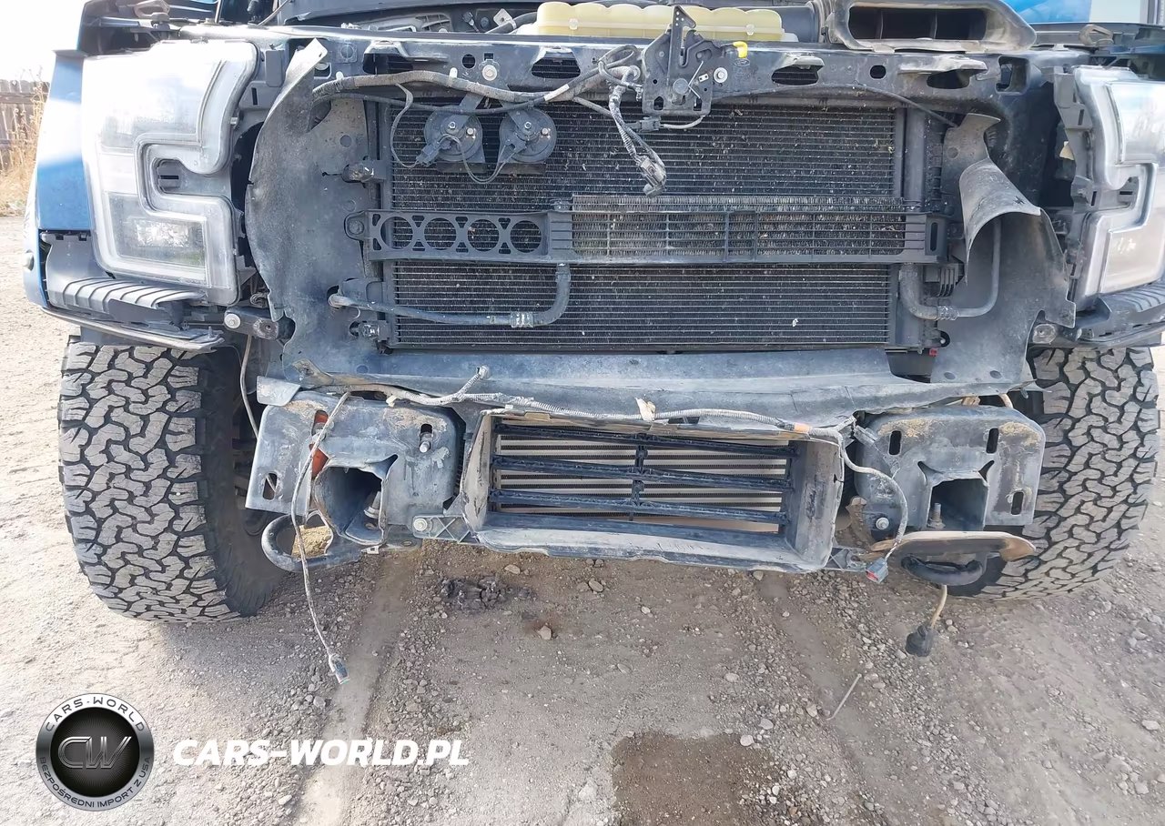 2019 Ford F-150 Raptor VIN:1FTFW1RG1KFD15436 - 6