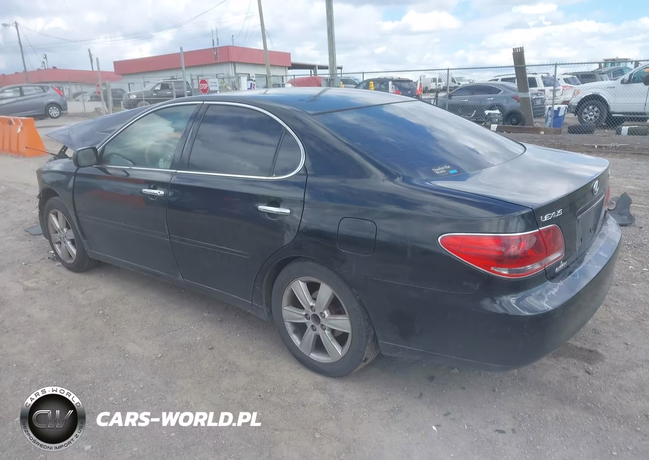 2005 Lexus Es 330 VIN:JTHBA30G655078313 - 3