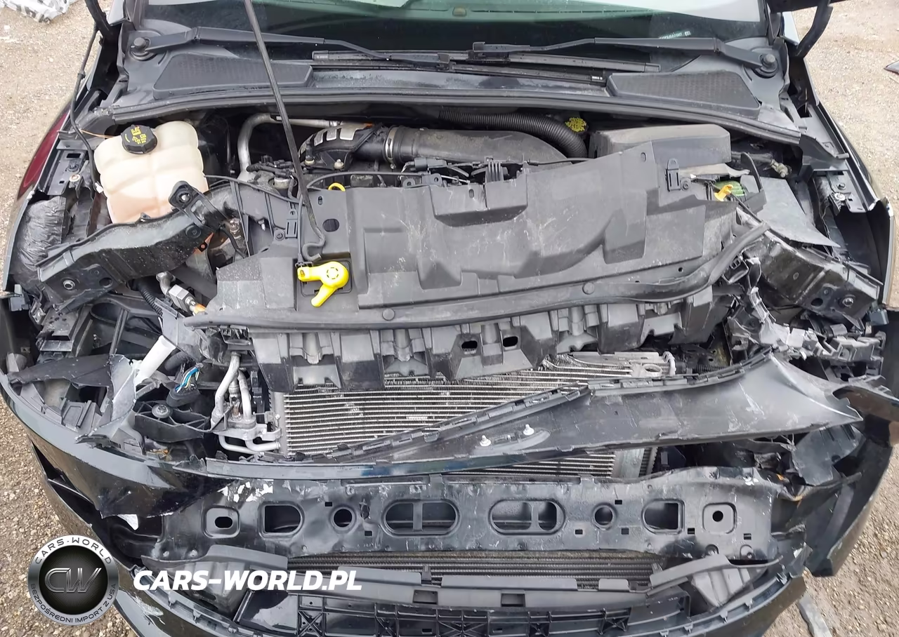 2018 Ford Focus St VIN:1FADP3L95JL213427 - 10
