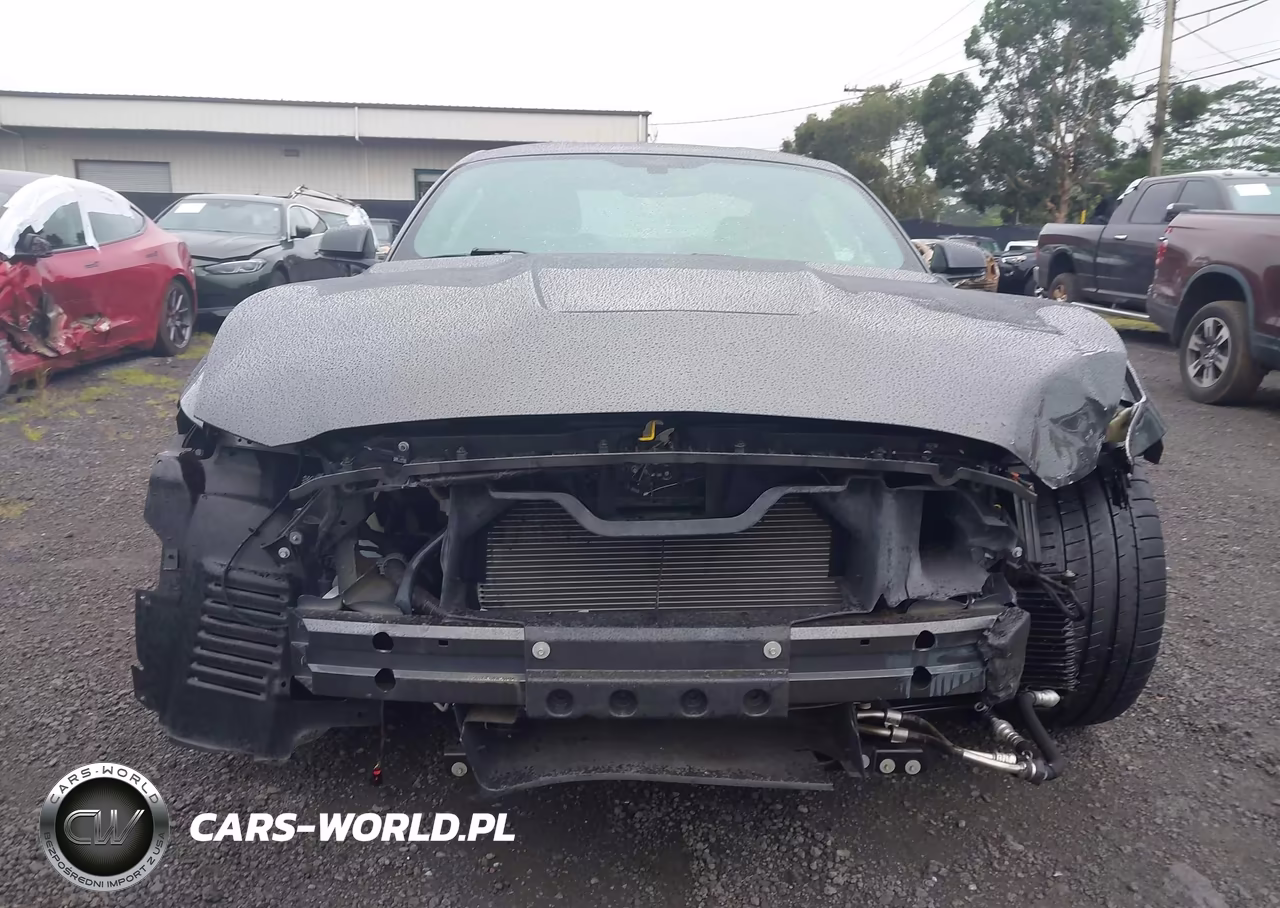 2016 Ford Shelby Gt350 VIN:1FA6P8JZ9G5526020 - 13