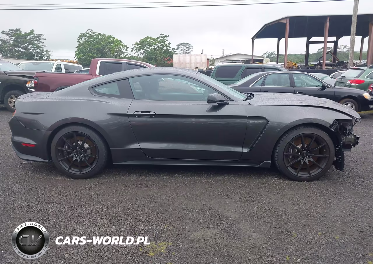 2016 Ford Shelby Gt350 VIN:1FA6P8JZ9G5526020 - 14