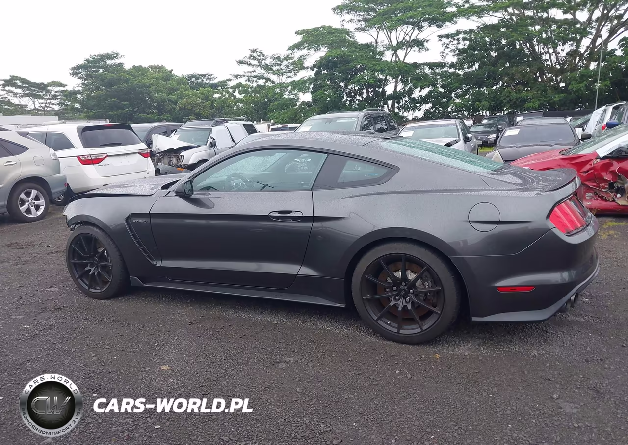 2016 Ford Shelby Gt350 VIN:1FA6P8JZ9G5526020 - 15