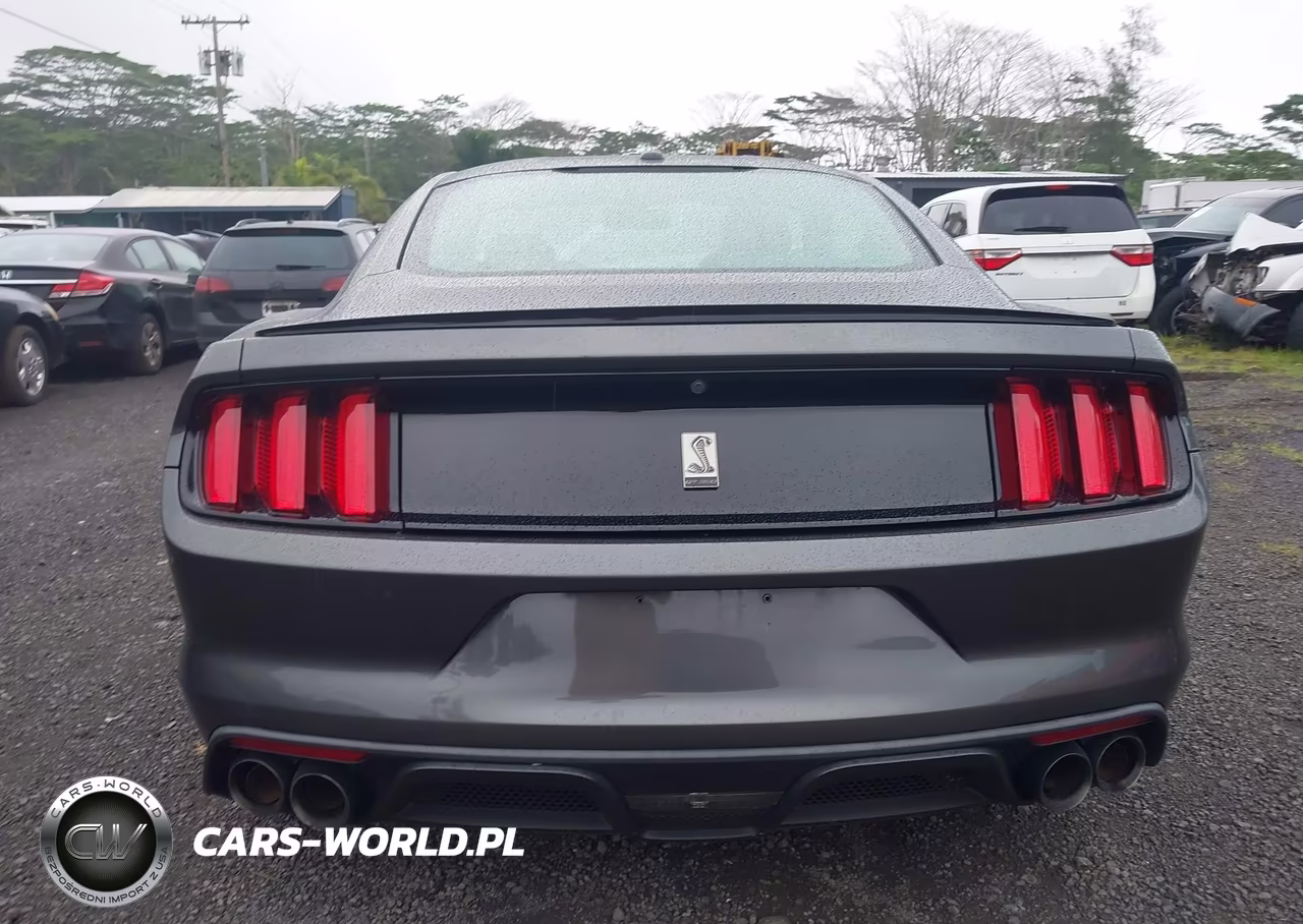 2016 Ford Shelby Gt350 VIN:1FA6P8JZ9G5526020 - 17