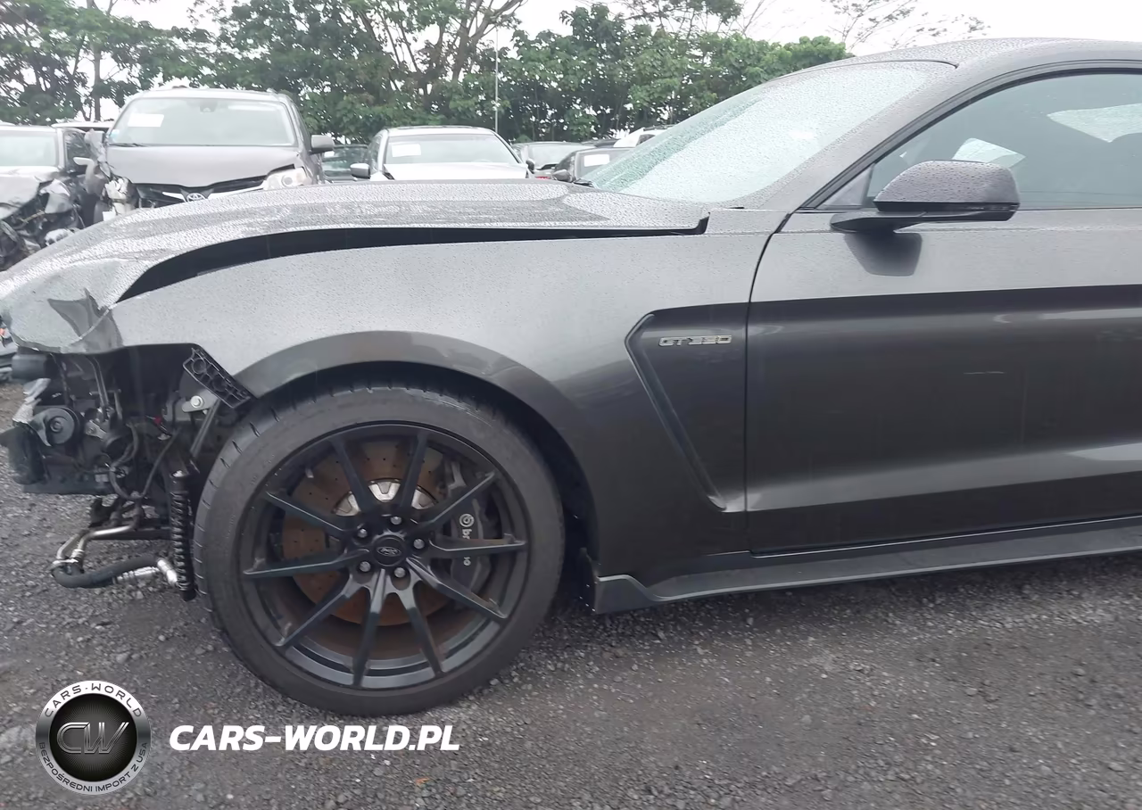 2016 Ford Shelby Gt350 VIN:1FA6P8JZ9G5526020 - 19