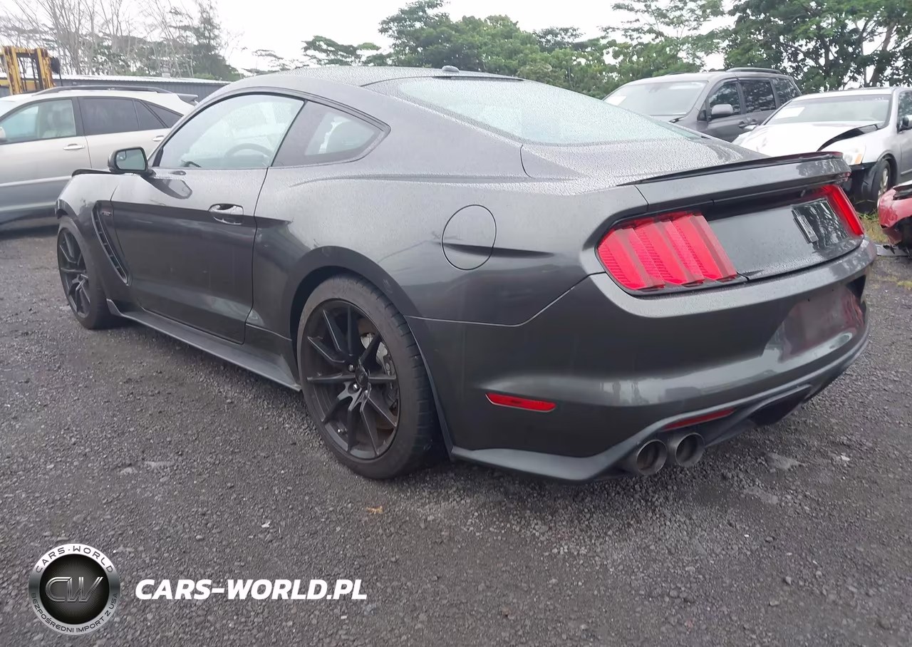 2016 Ford Shelby Gt350 VIN:1FA6P8JZ9G5526020 - 3