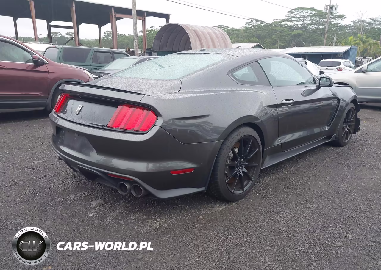 2016 Ford Shelby Gt350 VIN:1FA6P8JZ9G5526020 - 4