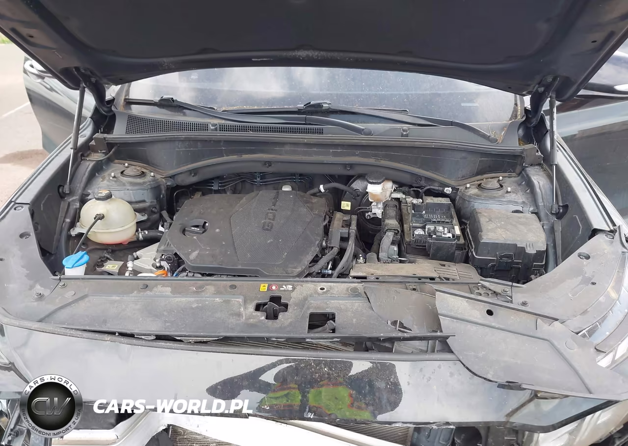 2023 Hyundai Santa Fe Sel VIN:5NMS24AJ8PH503268 - 10