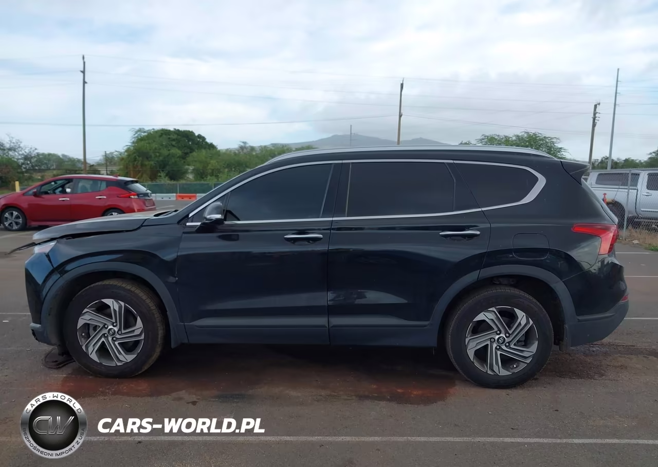 2023 Hyundai Santa Fe Sel VIN:5NMS24AJ8PH503268 - 15