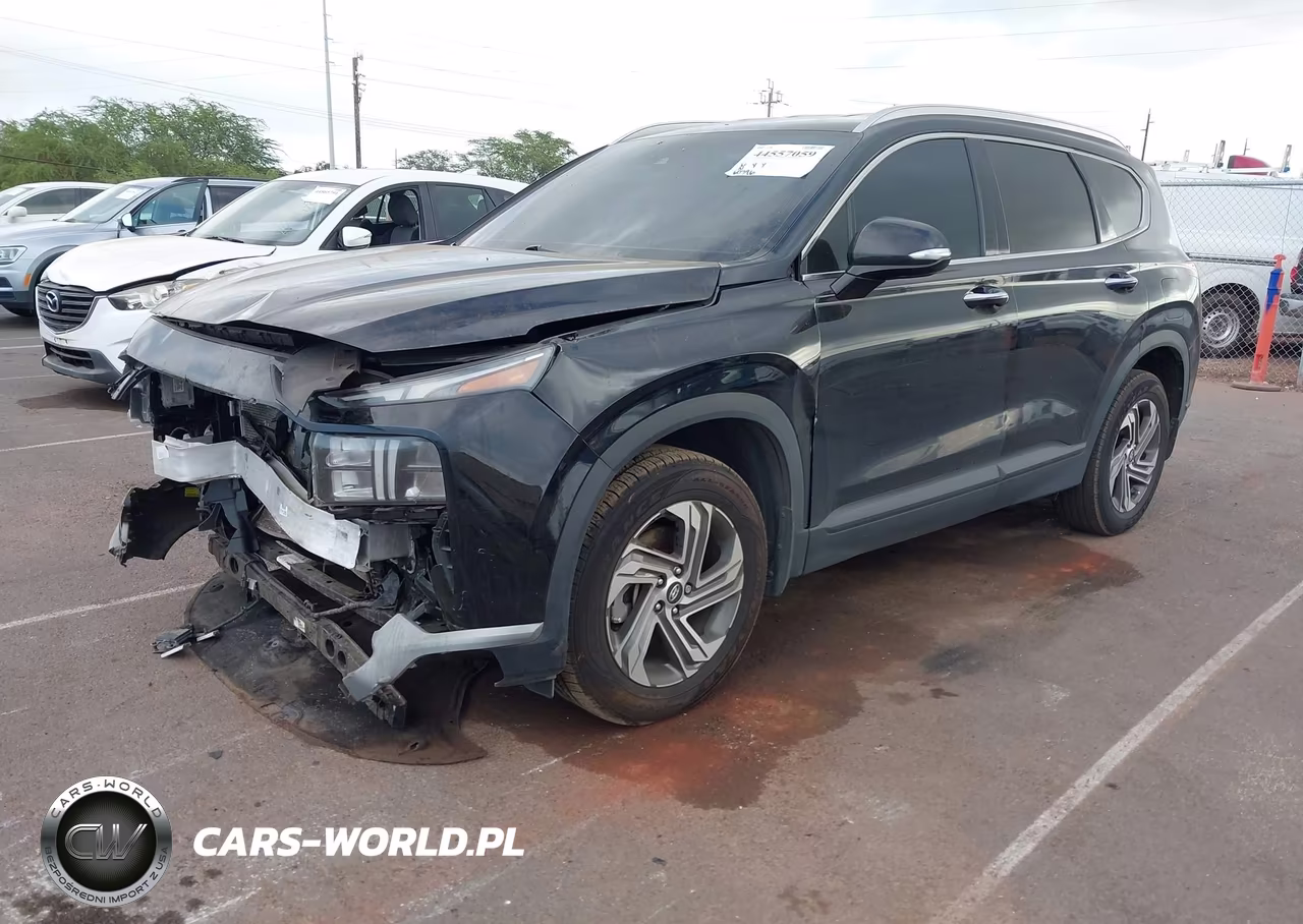 2023 Hyundai Santa Fe Sel VIN:5NMS24AJ8PH503268 - 2