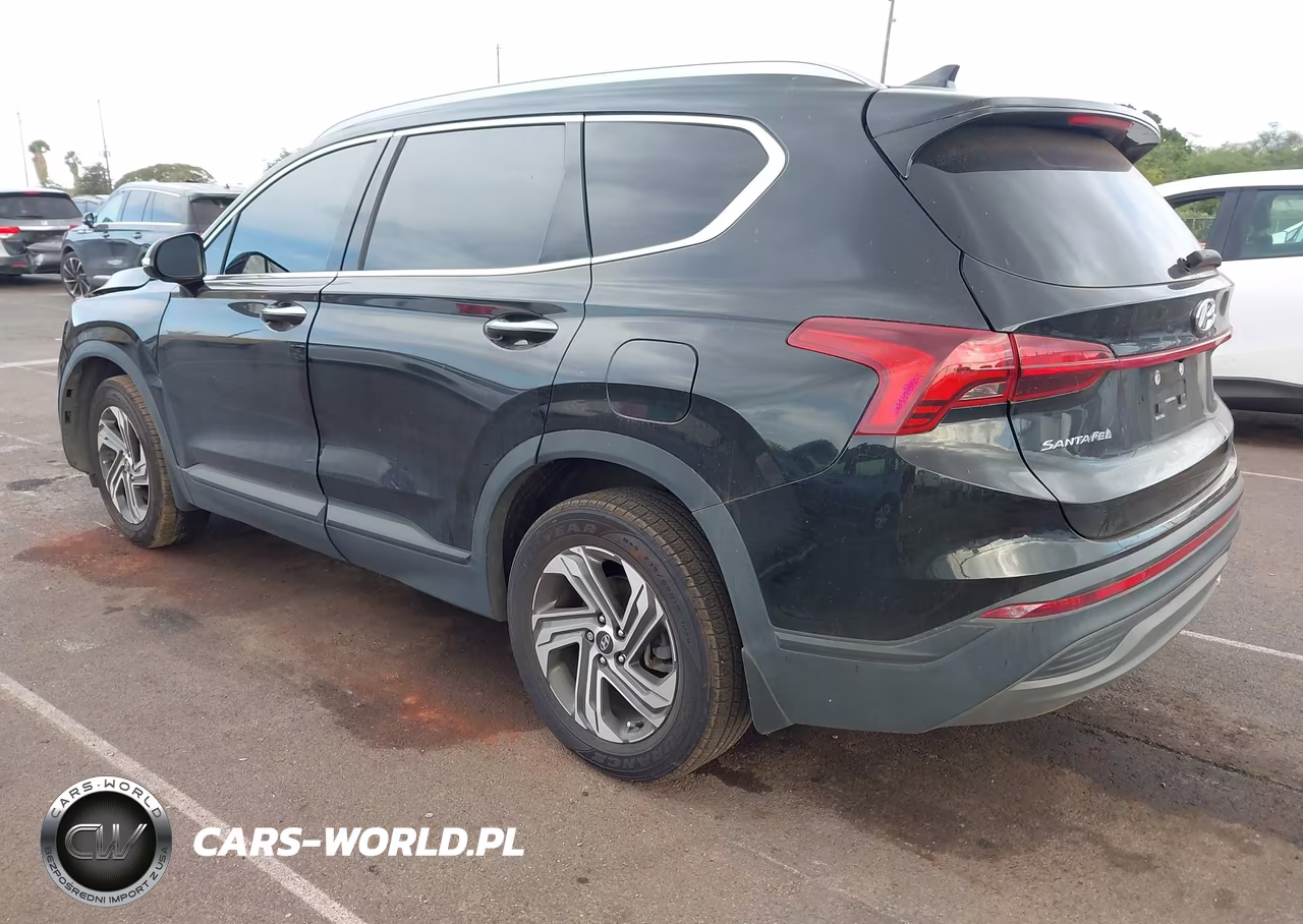 2023 Hyundai Santa Fe Sel VIN:5NMS24AJ8PH503268 - 3