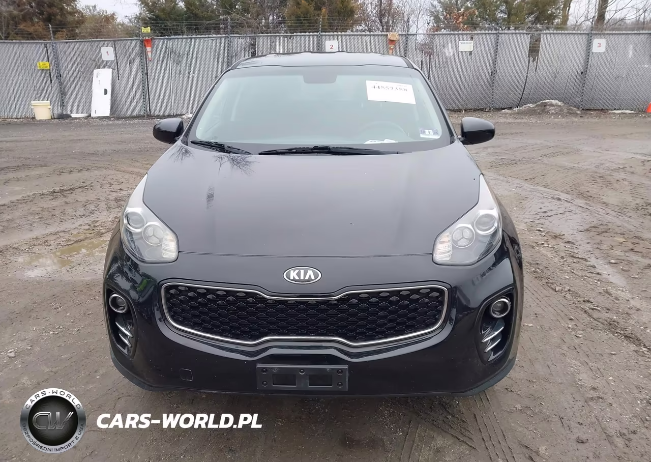 2019 Kia Sportage Lx VIN:KNDPMCAC1K7613428 - 12