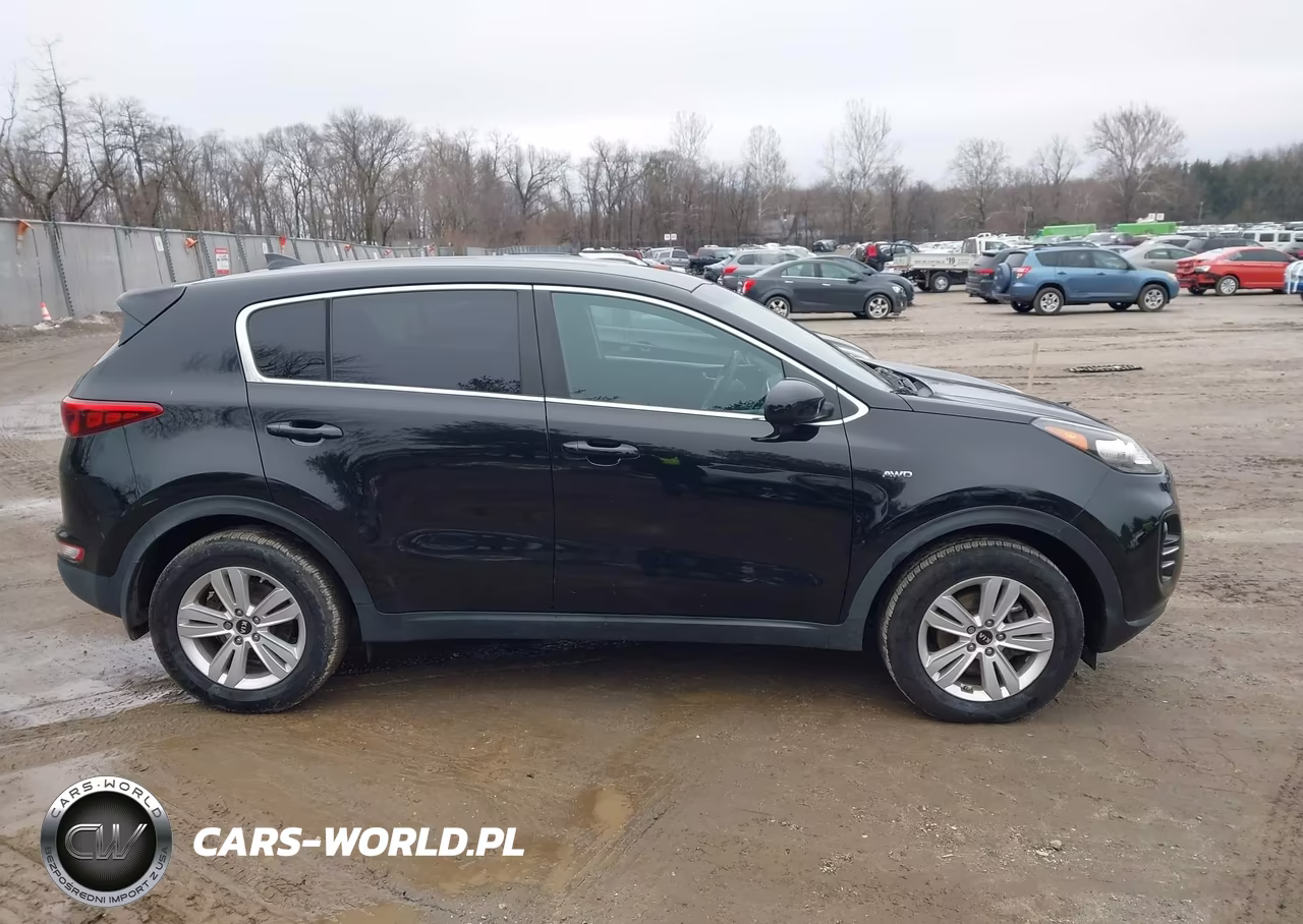 2019 Kia Sportage Lx VIN:KNDPMCAC1K7613428 - 13