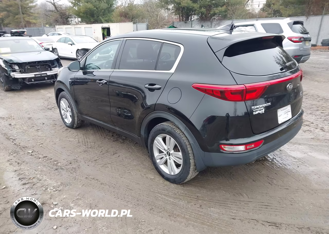 2019 Kia Sportage Lx VIN:KNDPMCAC1K7613428 - 3