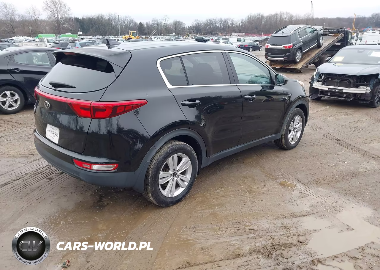 2019 Kia Sportage Lx VIN:KNDPMCAC1K7613428 - 4