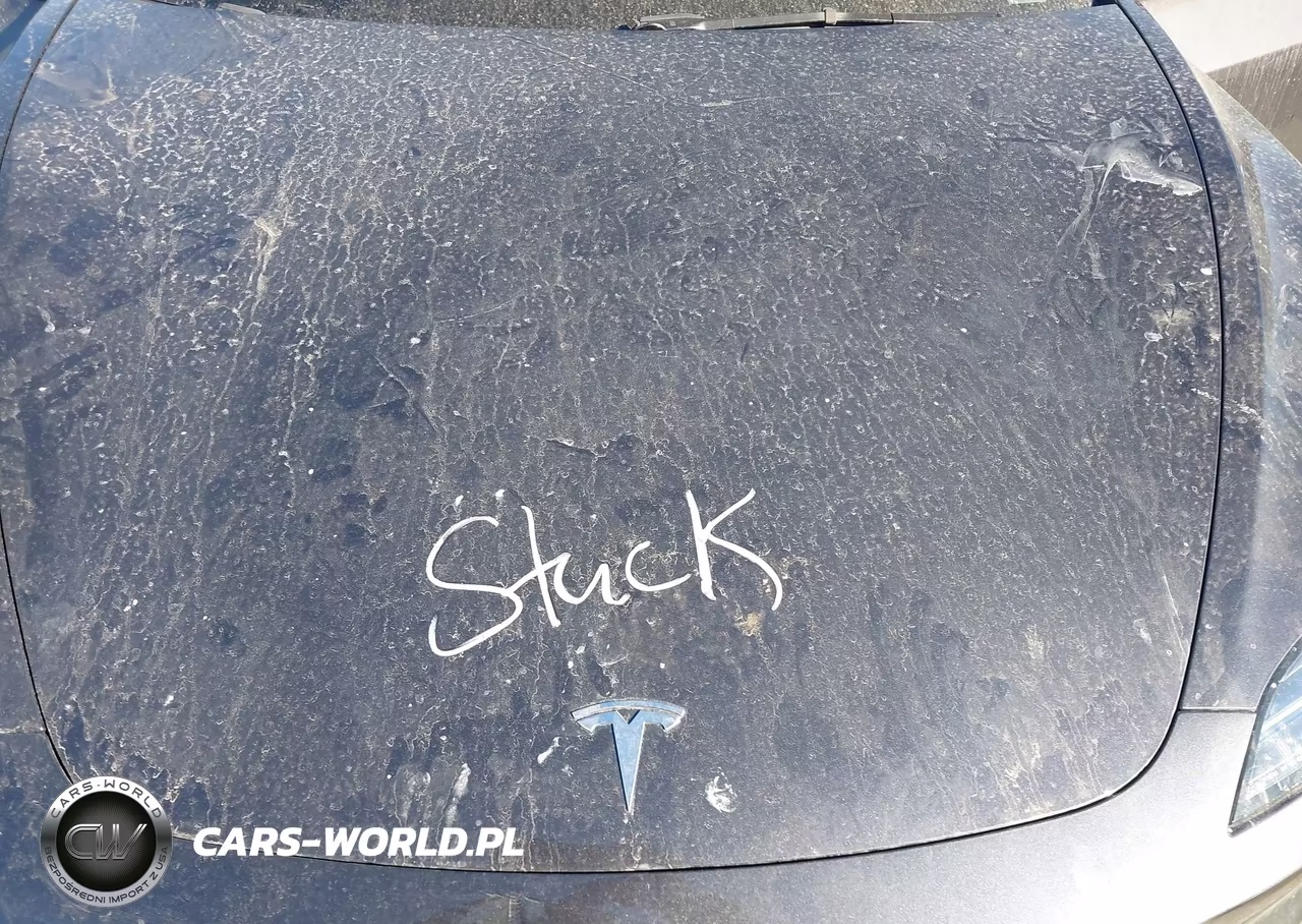 2024 Tesla Model 3 Long Range Dual Motor All-Wheel Drive VIN:5YJ3E1EB5RF769350 - 10