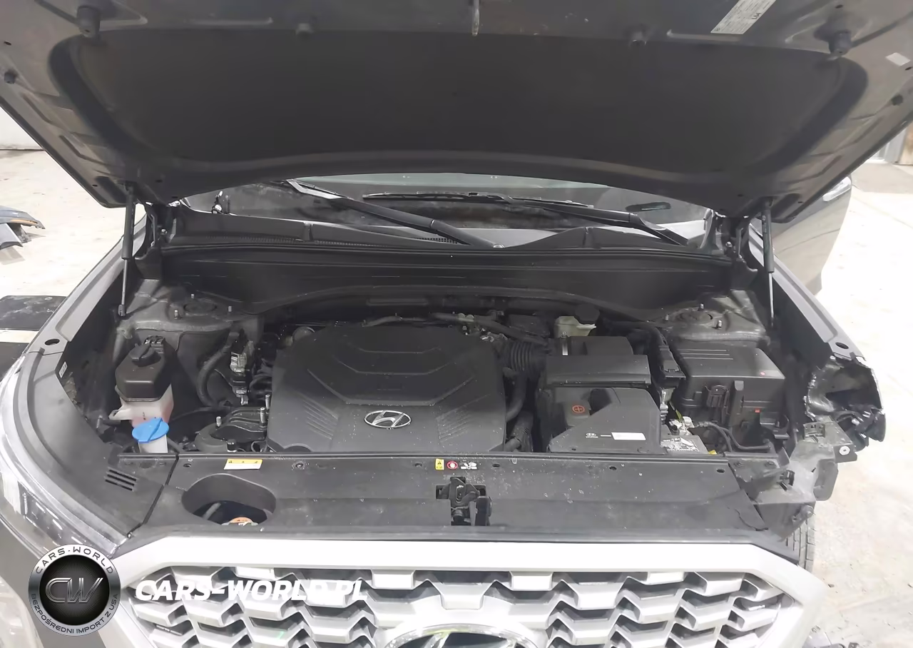 2021 Hyundai Palisade Sel VIN:KM8R44HE7MU265298 - 10