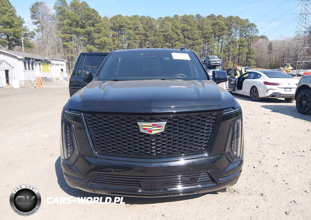 2025 Cadillac Escalade Esv Sport VIN:1GYS9PRL1SR382777 - 12