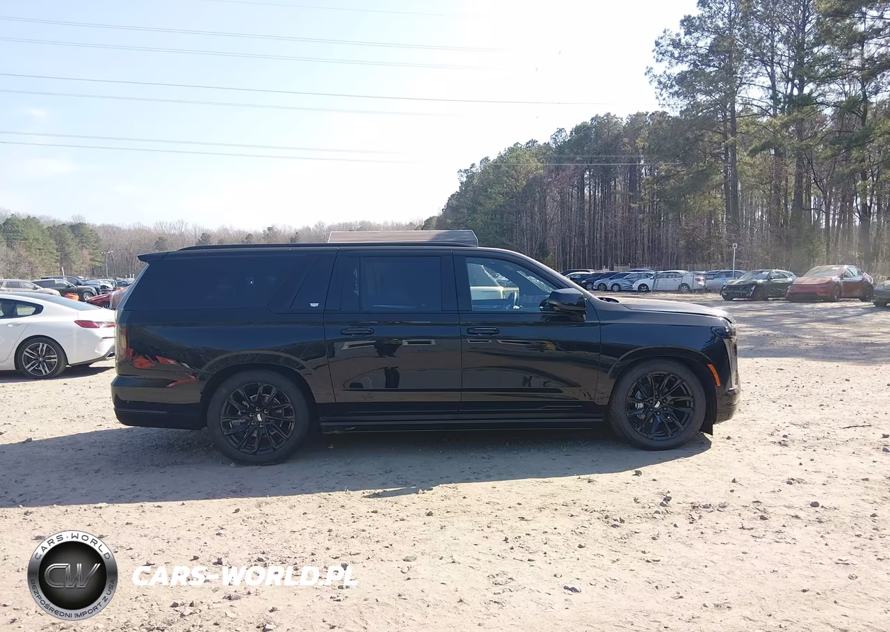 2025 Cadillac Escalade Esv Sport VIN:1GYS9PRL1SR382777 - 13